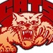Voice of Struthers School - WKTL Logo