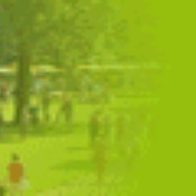Reformatorische Omroep Logo