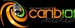 Carib101 Logo