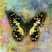 SKY.FM Radio - New Age Logo