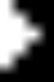 Pevec Radio Logo