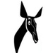 Radio Okapi Logo