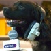 BFBS Radio Worldwide 1 Logo