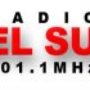 Radio Del Sur 101.1 Logo