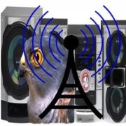 Radio Sokolica Logo