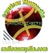 Radio Numydia Logo