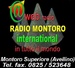 Radio Raffaella Logo