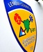 Lenoir County Police, Fire, and EMS Logo