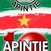 Apintie Radio Logo