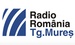 Radio Târgu Mures Logo