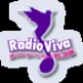 Radio Viva 95.3 FM Logo