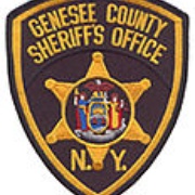 Genesee County Sheriff, and LeRoy Police Logo