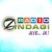 Radio Zindagi 1550 AM - KZDG Logo