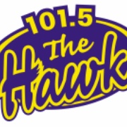 The Hawk - CIGO Logo
