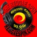 Reggae Spin Online Radio Logo