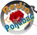 Radio Poljubac Logo