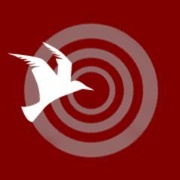 Radio Seagull Logo
