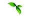 Vivela Stereo Logo