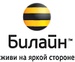 Corbina Radio: Corbina True Radio Logo