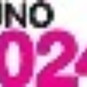 Suno 1024 FM Logo