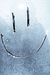 Drumstep UK Radio Logo