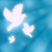 SKY.FM Radio - Contemporary Christian Logo