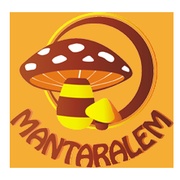 Radyo Mantar Logo