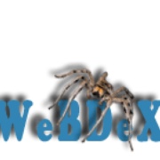 WeBDeX 8bit radio Logo