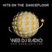 Web DJ Radio Logo