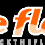 THE FLOW (live on location stream) Logo