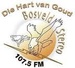 Bosveld Stereo Logo