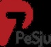 PeSju Radio - P7 Christian National Radio Logo