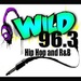 WNHT Logo