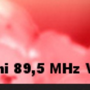 Radio Salminen Logo