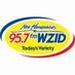 Hot Hits 94.1/103.1 - WZID-HD2 Logo