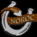 Radio Noroc Logo