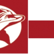 Coesa Turismo Logo