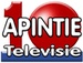 Radio Apintie Logo