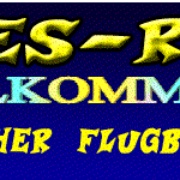Eagles Radio Logo