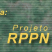 Radio Rio Verde FM Logo