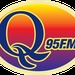 Wice QFM Logo