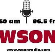 WSON Logo