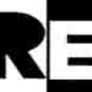 Radio Erasmus Logo