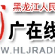 Heilongjiang Music Radio 958 Logo