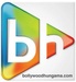 Bollywood Hindi Hits Logo