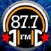 Danu Radio 87.7 - WNYZ-LP Logo