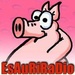 EsAuRiRaDio Logo