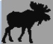 Moose FM - CFXN-FM Logo