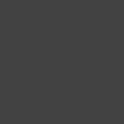 Der NetzPerlenTaucher Radio Logo