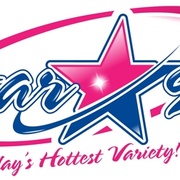 The New 95.9 FM - WSTG Logo